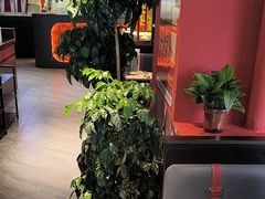 -京悦南门涮羊肉·羊蝎子火锅(田林路店)