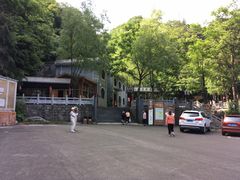 -洛阳白云山景区