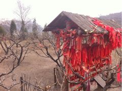 iphone_upload_pic-蒙山大佛景区