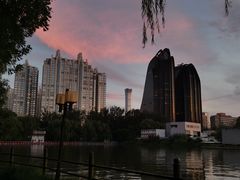 -朝阳公园