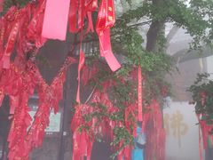 -老界岭旅游度假区