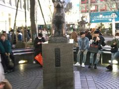 -涩谷区