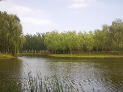 -东郊湿地公园