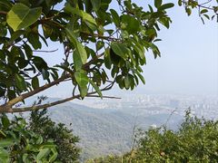 -广州市白云山风景名胜区