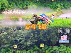 -广州长隆飞鸟乐园