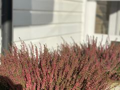-伦敦比斯特购物村