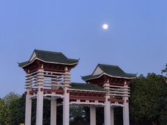 -王借岗森林公园
