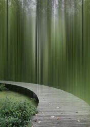 -金禧婚礼定制