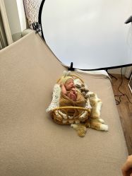 -西瓜庄园儿童摄影