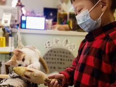 -平行世界·猫咖(首经贸店)