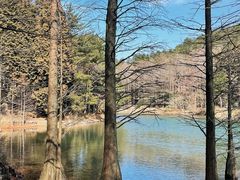 -四明山国家森林公园