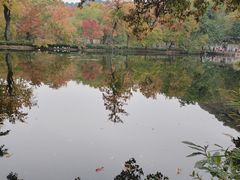 -白马涧龙池景区