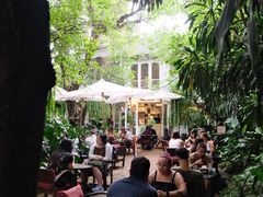 -Fern Forest Cafe