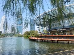 -金桥现代产业园区-停车场