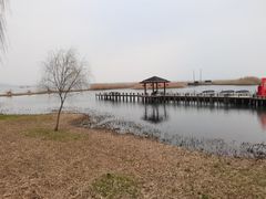 -苏州太湖湖滨国家湿地公园