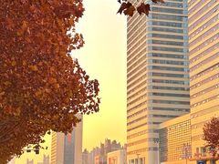 -滨湖塘西河公园