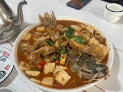 -煲来饱去冷水鱼