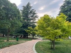 -洛阳郁金香牡丹园