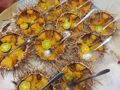 海胆刺身-南山酒肆(南山董事绘店)