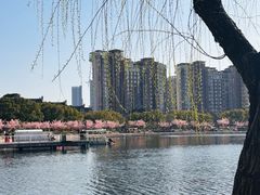 -新江湾城公园