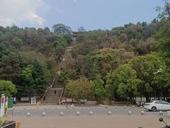 -洱海月湿地公园