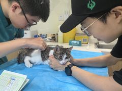 -美迦爱-牙专科·兔科·骨科诊疗中心(北苑店)
