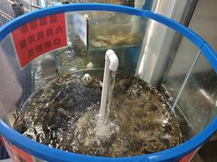 -仙螺岛海鲜自助餐厅(总店)