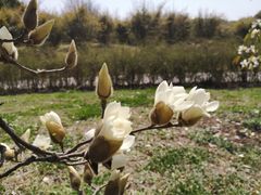 -共青国家森林公园-售票处