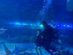 -华夏文旅海洋公园