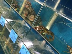 水产区-鑫悦楼煎蟹·16年海鲜大排档