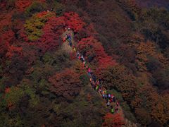 -秦岭风景区