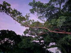 -中山大学广州校区南校园怀士堂