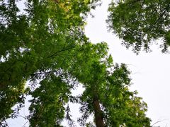 -南京金牛湖风景区