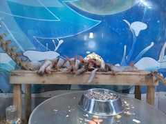 -海合安青岛极地海洋公园