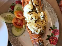 -Red Lobster