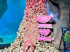 -福州罗源湾海洋世界旅游区