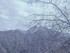 -秦岭终南山世界地质公园翠华山景区