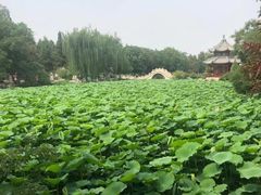 -莲池书院博物馆