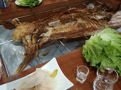 -大家烤羊庄·聚餐团建·谢师宴·生日派对(南山店)