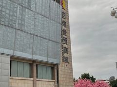 -百荣世贸商城