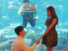 -迪拜帆船酒店海底餐厅