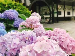 -常州花鸟园酒店(西太湖品牌优选店)