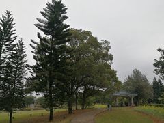 -福建鲤鱼洲酒店