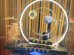 -手功王养生·足疗按摩·SPA·采耳(天府路店)