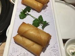-好彩猪肚鸡(正弘城店)