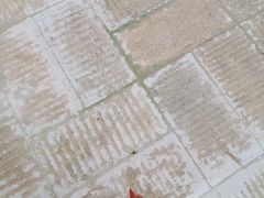 -绿地·中山里