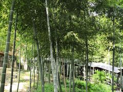 -陶祖圣境风景区