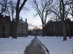-普林斯顿大学