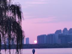 -天鹅湖体育公园