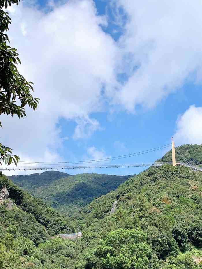 象山龙角岩森林公园-"雾蒙蒙的天气真的是,景点一般般,桥有点晃.